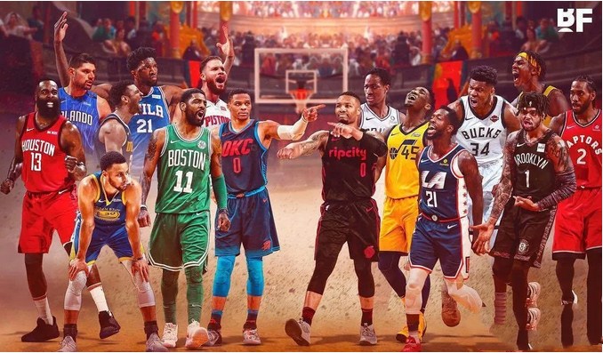 的观赏性与 的观赏性与